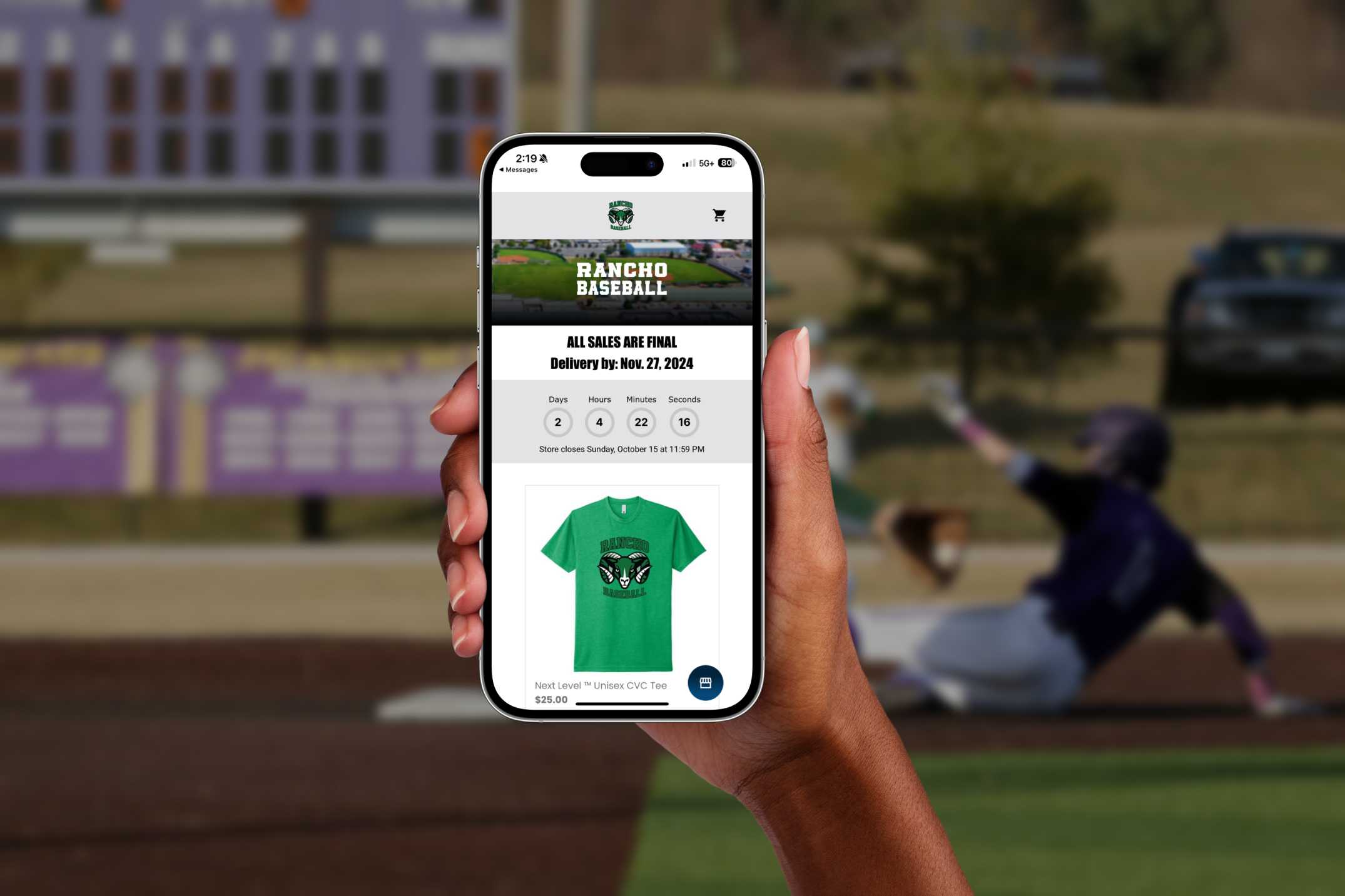 Online store interface showcase